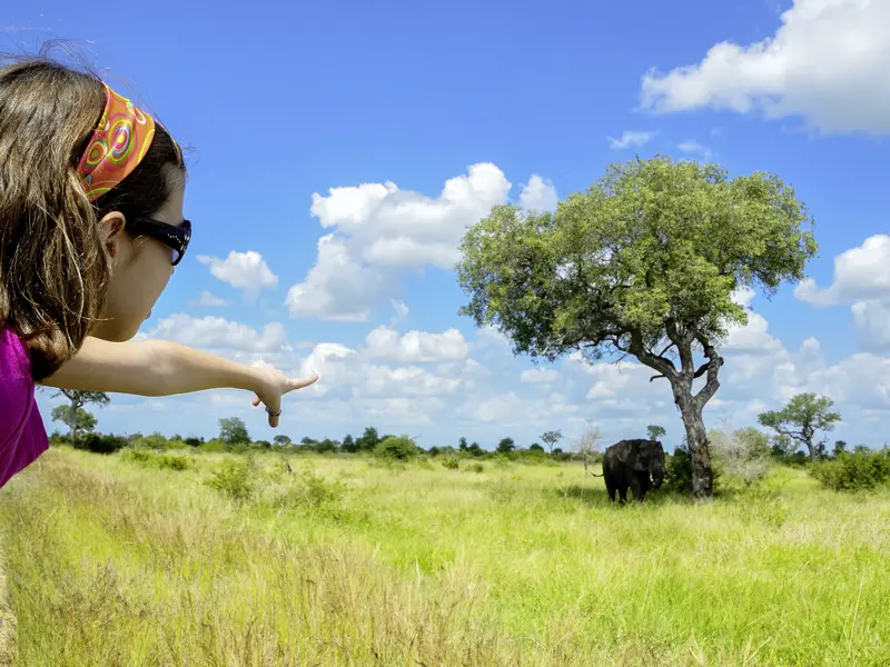 Auf unserer Südafrikareise für Familien gehen wir gleich zwei Mal auf Safari!