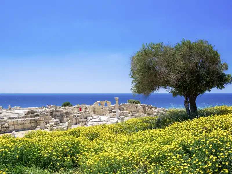 In Curium tauchen wir auf unserer zehntägigen Zypernreise in die römische Geschichte des Stadtkönigtums ein, im Heiligtum des Apollon in die griechische Götterwelt.