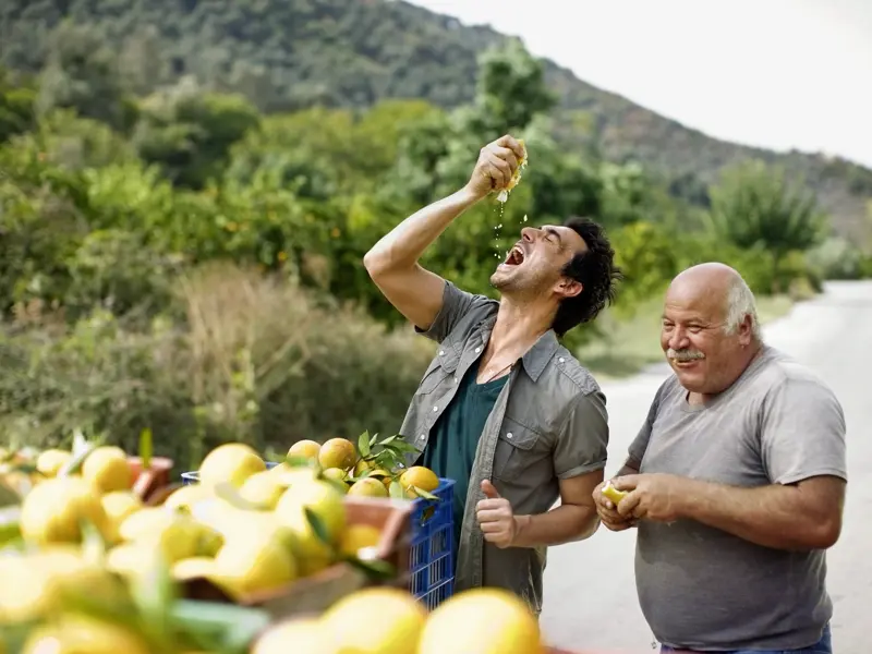 Unsere Studienreise  in den Süden von Italien führt Sie höchst abwechslungsreich mal am Meer entlang, mal durch Olivenhaine, mal zu Naturreservaten und Höhlenkirchen. Und vielleicht begegnen Sie auch diesen fröhlichen Orangenpflückern nach der Ernte.