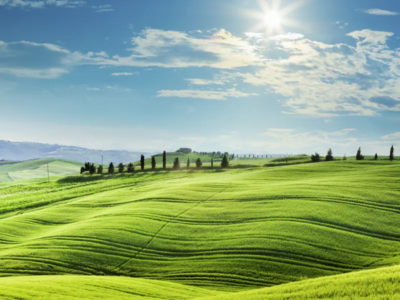 Eine Landschaft wie ein Kunstwerk: die Toskana. Wir erleben die Bilderbuchlandschaft auf unserer Studienreise durch die Toskana genauso wie die einmaligen Werke der Kunst.