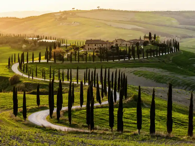 Auf unserer Wander-Studienreise Toskana - Wandern zwischen Pinien und Zypressen erleben Sie auf Wandersfüßen viele unterschiedliche toskanische Landschaften, hier etwa das Landschaftsschutzgebiet Val d'Orcia bei Siena.