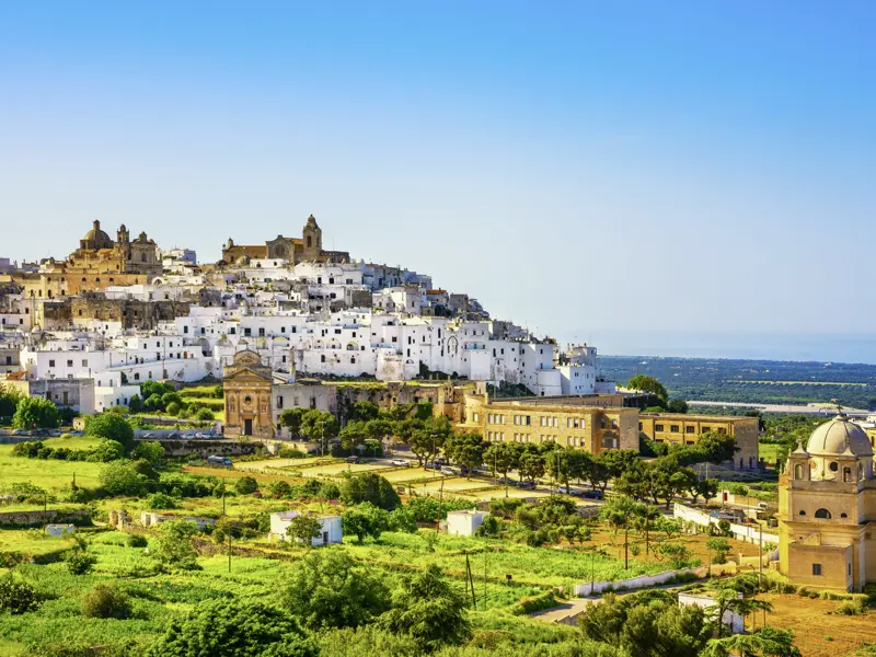 Auf unserer Studienreise nach Apulien kommen wir auch in die weiße Stadt Ostuni hoch über der Küste. Nach einem Rundgang durch die Stadt erwartet uns eine Kostprobe in einer Ölmühle.