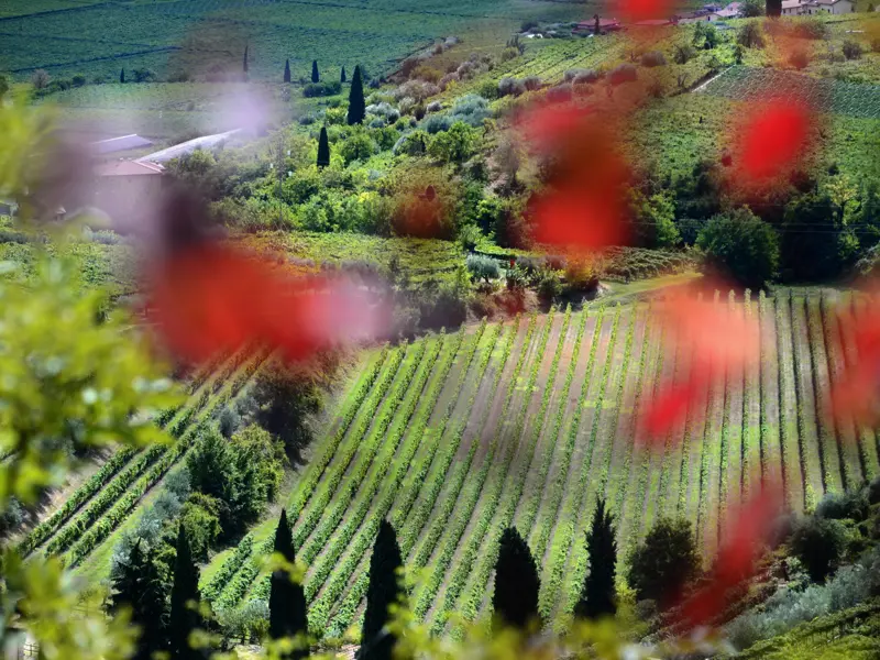 Auf unserer neuntägigen Studienreise locken nach einer gemütlichen Spazierrunde Antipasti und Vino auf einem Weingut im Veneto.