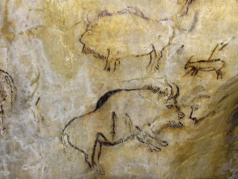 Ein Highlight unserer Studienreise in Frankreichs Süden ist der Besuch der Grotte von Niaux, eine der wenigen frühzeitlichen Bilderhöhlen, die im Original besichtigt werden dürfen.