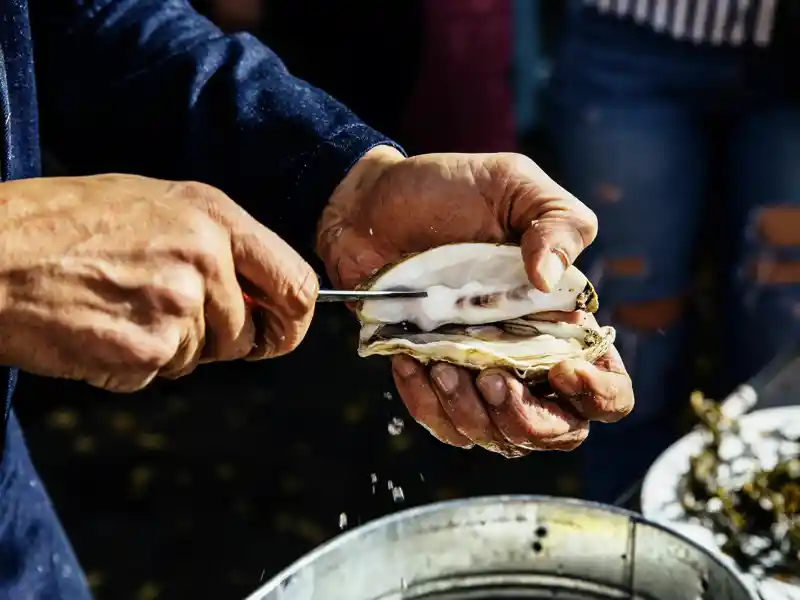 Austern und die Küsten der Normandie und Bretagne gehören zusammen! Auch wir lassen uns auf unserer Studienreise in die Normandie und die Bretagne eine Portion Austern schmecken!