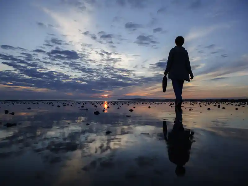 Erlebnis Wattenmeer auf französisch: rund um den Mont-St-Michel ändert sich je nach Tageszeit und Gezeitenstand die Stimmung!