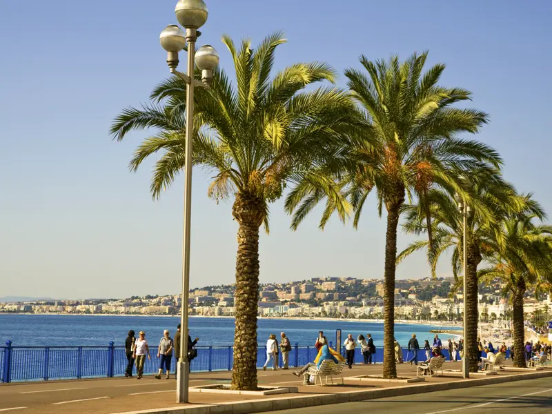 Nizza ist der Standort für unsere 8-tägige Studienreise an die Cote d'Azur. So bleibt viel Zeit für ausgiebige Spaziergänge entlang der Promenade des Anglais.