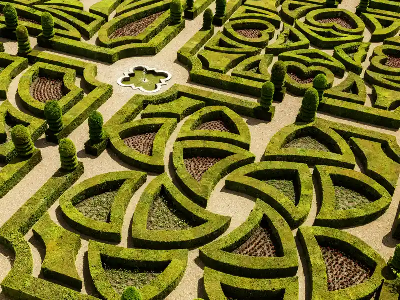 Gartenträume werden war auf unserer Reise an die Loire. Nicht nur beeindruckende Schlösser, sondern auch traumhafte Gartenanlagen sehen wie auf unserer Studienreise ins Loiretal und zur Ile de France.