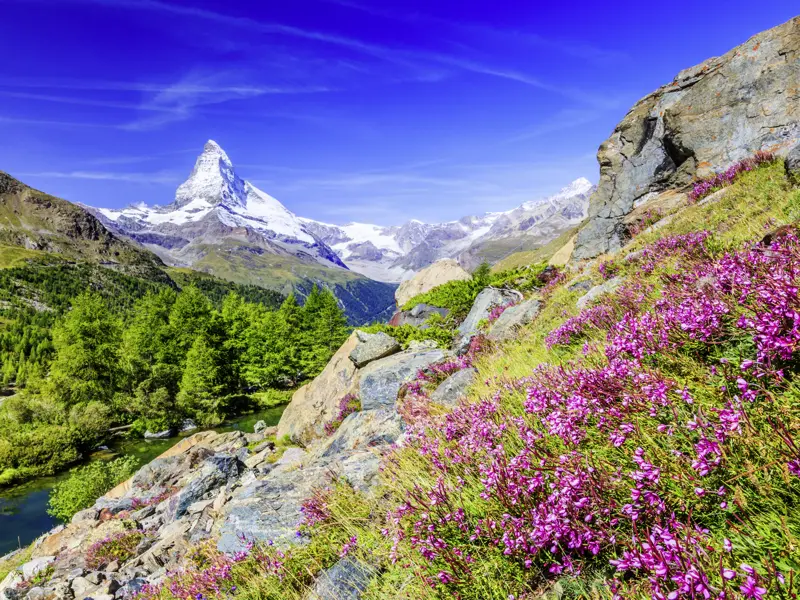 Einer der bekanntesten Gipfel der Alpen: die markante Spitze des Matterhorns - ein Blick, den wir auch auf unserer Studienreise durch die Alpen genießen.