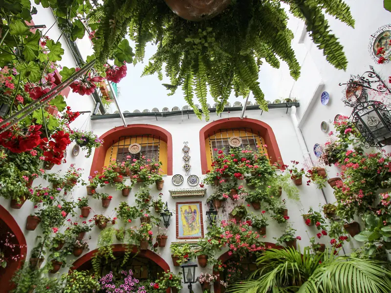 Auf unserer Studienreise durch Andalusien bewundern wir die vielen blumengeschmückten Patios in Córdoba.