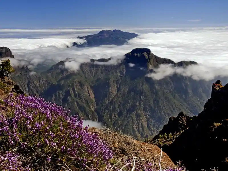 Im Nationalpark Caldera de Taburiente steigen wir La Palma aufs Dach und fahren zum Roque de los Muchachos. Fantastische Ausblicke auf La Palma und Teneriffa! Ihre Studiosus-Reiseleitung zeigt Ihnen die schönsten Aussichtspunkte.