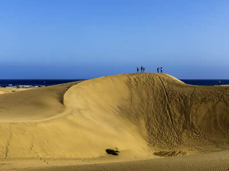 Ein Stück Sahara auf Gran Canaria auf der Naturerlebnis-Studienreise auf die Kanaren mit Studiosus: Die Dünen von Maspalomas sind eine einzigartige Naturlandschaft. Auf der Strandwanderung zum Leuchtturm darf natürlich auch gebadet werden!