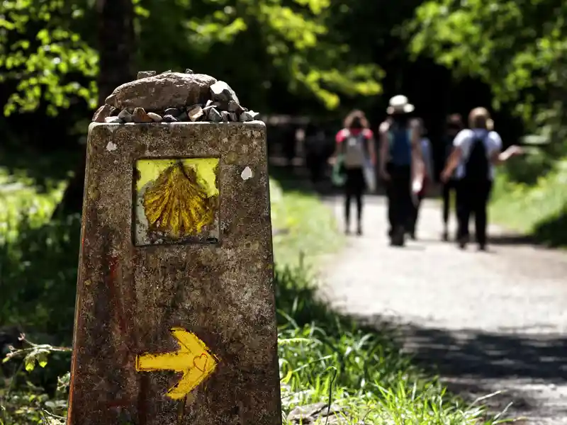 Auf unserer Studiosus-Wanderreise nach Spanien folgen wir der Jakobsmuschel Richtung Santiago de Compostela.