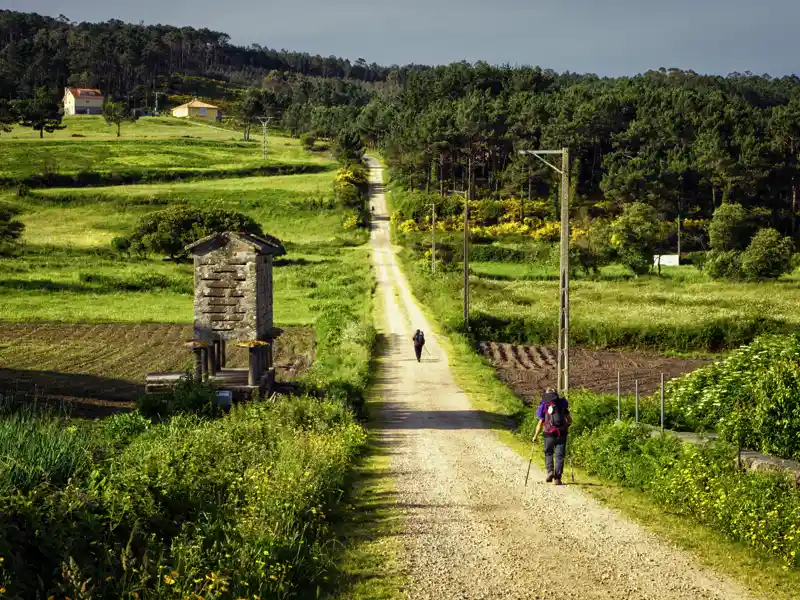 Auf unserer Wander-Studienreise durch Nordspanien genießen wir immer wieder die Natur und wundervolle Ausblicke und kommen mit anderen Pilgern ins Gespräch.