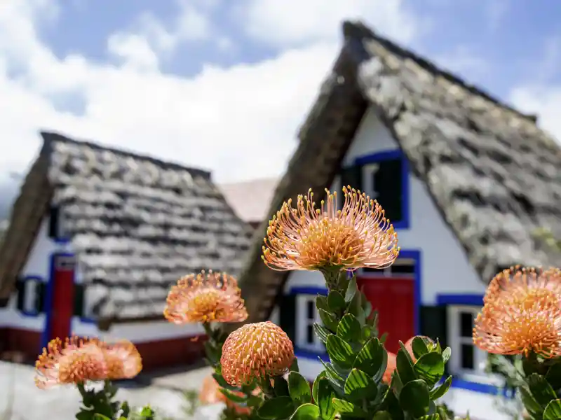 Auf unserer Studienreise durch Madeira lernen wir Land und Leute der schönen Insel kennen.