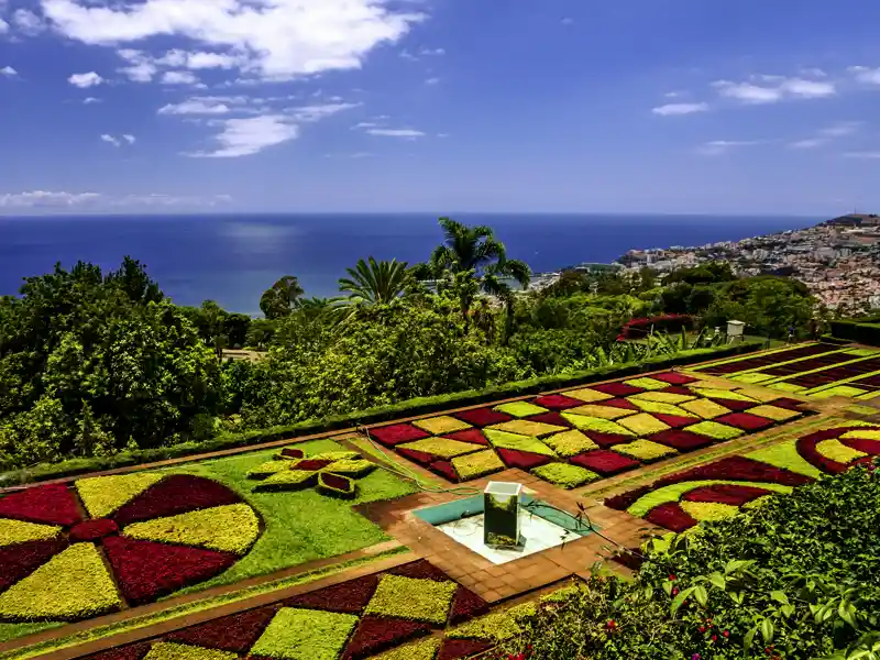 Auf unserer Studienreise nach Madeira haben wir viel Zeit, Funchal zu entdecken.