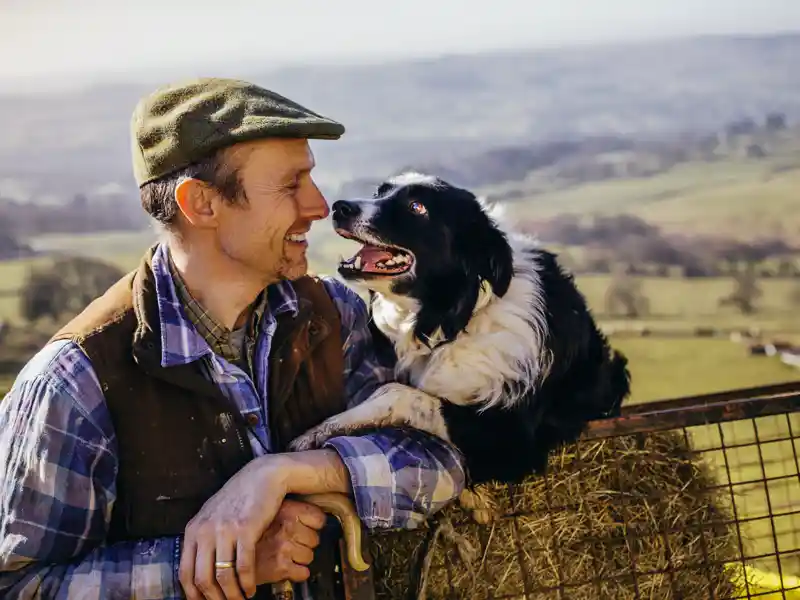 Wir besuchen auf unserer Rundreise durch Irland und Nordirland auch einen Schäfer und lassen uns von ihm zeigen, wie er mit seinen Border-Collie-Hütehunden die Schafe hütet.