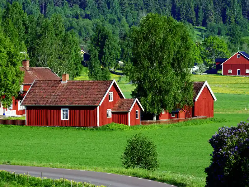 Auf unserer Reise durch Schweden besuchen wir auch die Provinz Smaaland, die Heimat der berühmten rostbraun getünchten Holzhäuser.