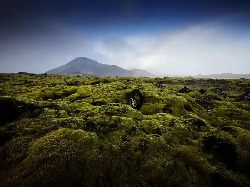 Auf unserer Studienreise Island werden Sie die ganze Vielfalt der isländischen Landschaft kennenlernen.