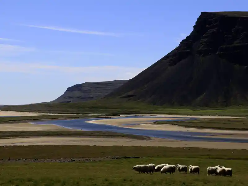 Island verzaubert uns während unserer Studienreise mit seiner unvergesslichen Landschaft.