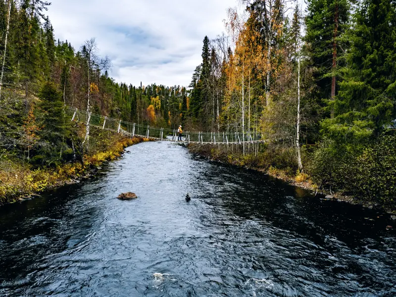 Im Oulanka-Nationalpark gehen wir gemeinsam auf eine Wanderung.