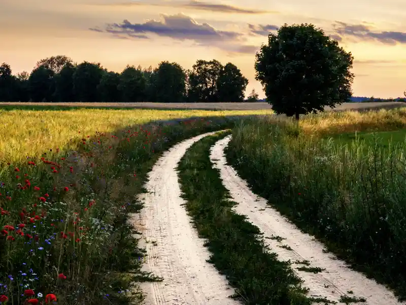 Unsere Studienreise durch die Masurenauf in Polen erfreut uns mit weiten schönen Landschaften.