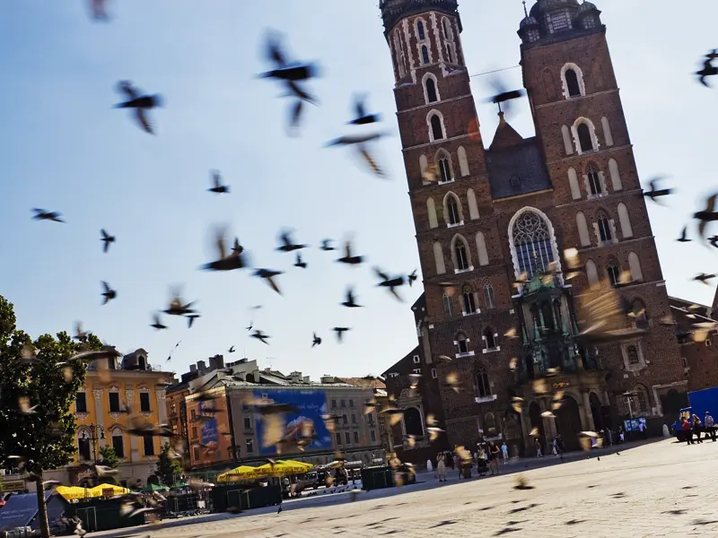 Auf unserer Rundreise durch Polen besuchen wir Krakaus Altstadt inklusive Marktplatz und Marienkirche.