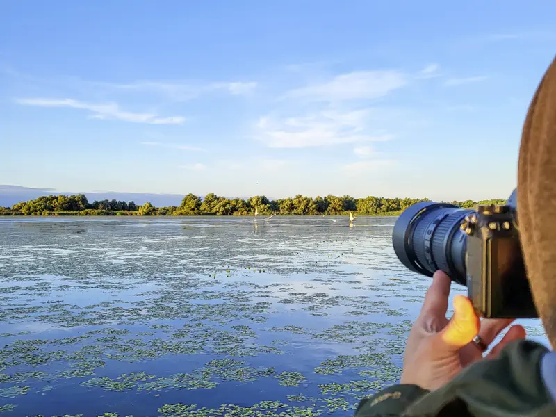 Während der Rundreise mit Studiosus durch Rumänien erobern wir die Wasserwildnis des Donaudeltas auf mehreren Bootstouren.