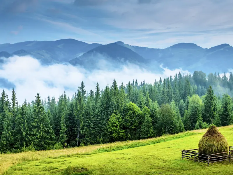 Auf unserer Wander-Studienreise nach Rumänien unternehmen wir Wanderungen in sehr reizvoller Landschaft, wie hier in den Karpaten.