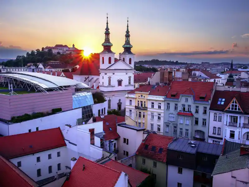 Auf Ihrer Studienreise durch Schlesien, Böhmen und Mähren erkunden Sie gemeinsam mit Ihrer Gruppe und Ihrem Studiosus-Reiseleiter auch die wunderschön restaurierte Altstadt von Brünn (Brno) in Tschechien.