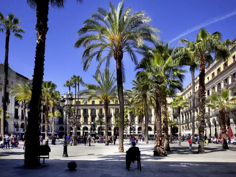 Gemeinsam mit Studiosus-Reiseleitung erkunden wir das Gotische Viertel, die stimmungsvolle Altstadt Barcelonas, mit seinen kleinen und großen Plätzen, schmalen Gassen und der Kathedrale.