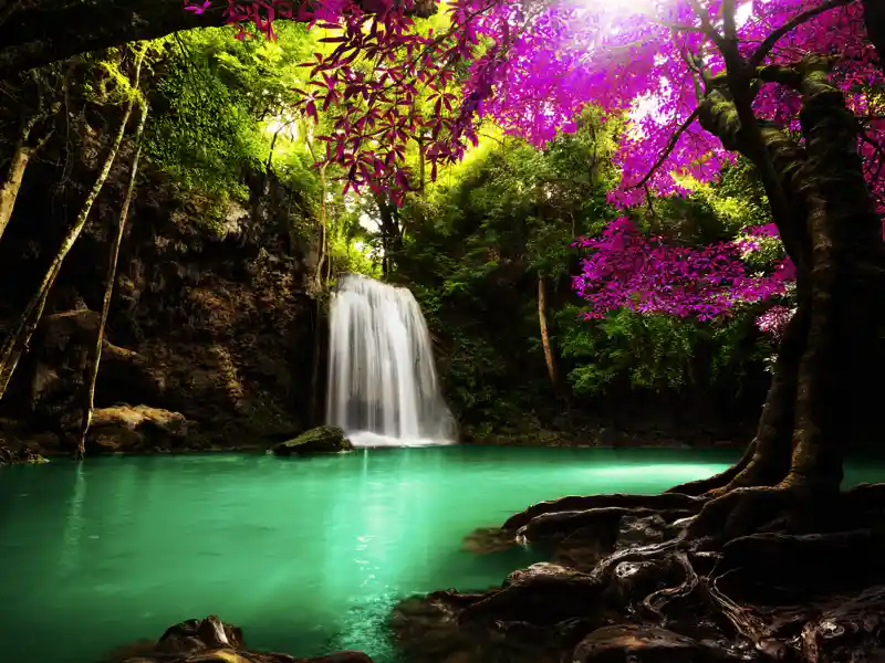 Bei den Studienreisen für Kleingruppen von Studiosus werden immer wieder Erholungspausen eingelegt, so wie an diesem Wasserfall in Südthailand.