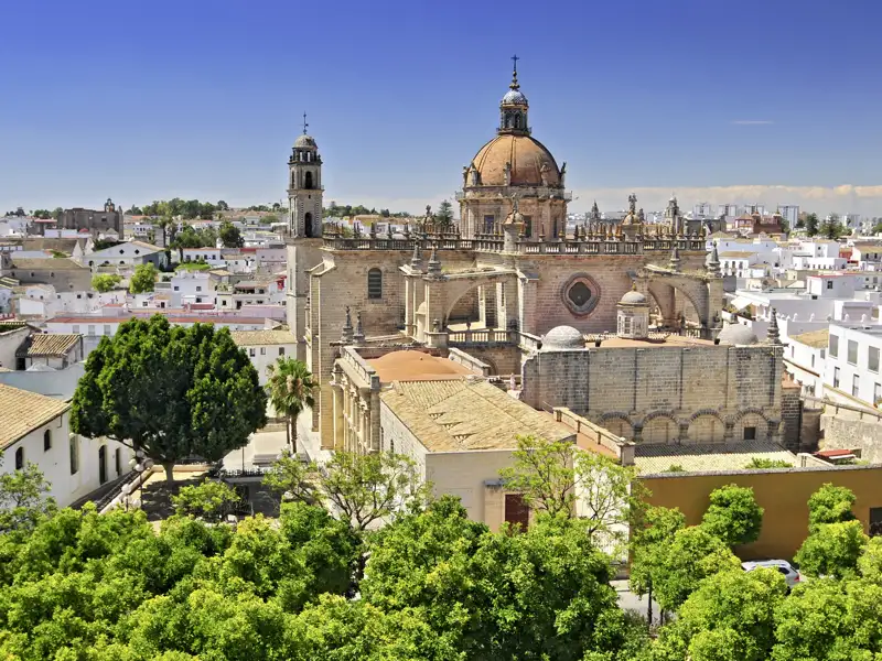 Die Kathedrale von Jerez de la Frontera in Andalusien, umgeben von einem Park und der städtischen Umgebung unter wolkenfreiem Himmel