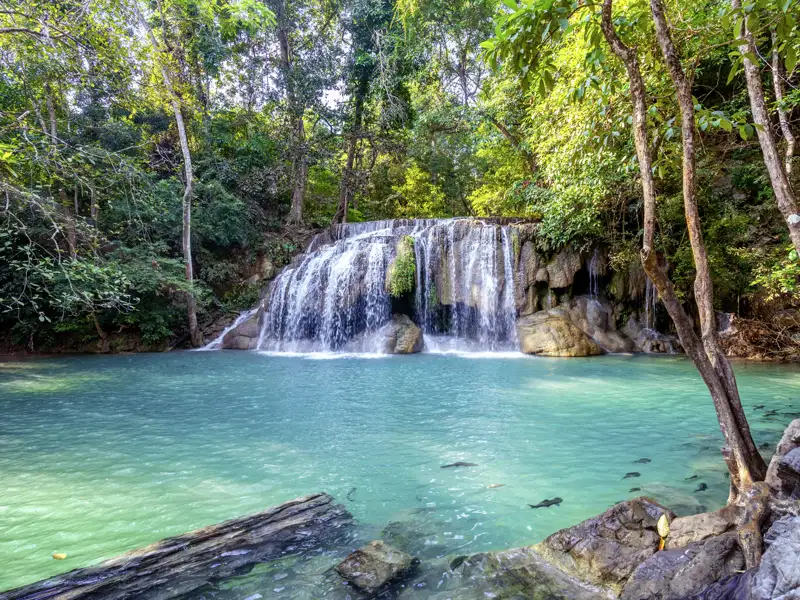 Bei unserer Reise wandern wir durch smaragdgrünen Dschungel, teils auf Holzplanken oder auch mal durchs Wasser, zu einem siebenstufigen Wasserfall. Kristallklar strömen die Kaskaden an glatten Felsen herab und bilden azurblaue Pools, die zum Baden einladen.