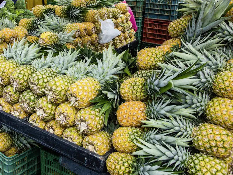 Auf unserer Costa-Rica-Reise besuchen wir einen lokalen Bauernmarkt, wo tropische Früchte angeboten werden. Natürlich darf auch probiert werden!