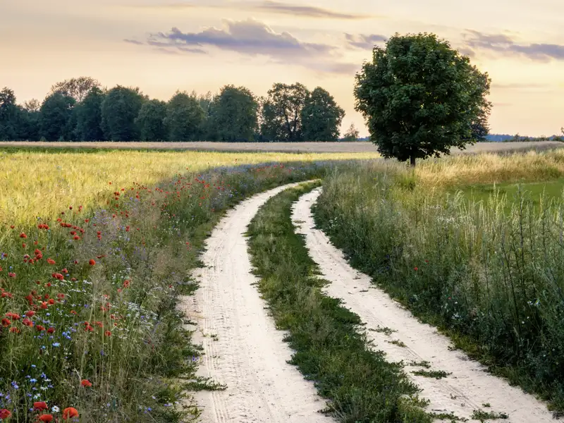 Auf Ihrer Reise durch Polen sehen Sie beeindruckende Landschaften.