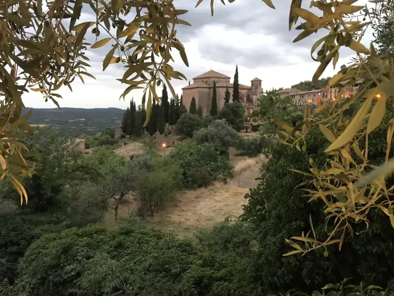 Blick auf eine Kirche durch Olivenbaumzweige.