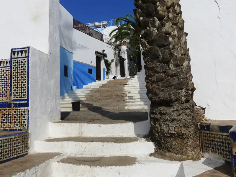 Blau-weiße Häuser und eine Treppe in einer Gasse. Ein Palmenstamm ist im Vordergrund sichtbar.