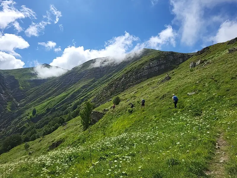 Wanderer auf einem grünen Berghang während einer Bergwanderung.