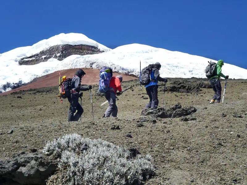 Wanderer besteigen einen Berghang mit Schneebedeckung im Hintergrund.