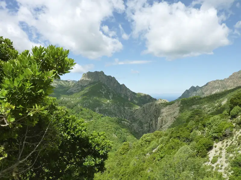 Blick auf bewaldete Berge und das Meer.