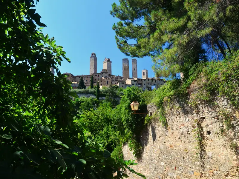 Die charakteristischen Türme von San Gimignano, gesehen von einem bewachsenen Weg aus.