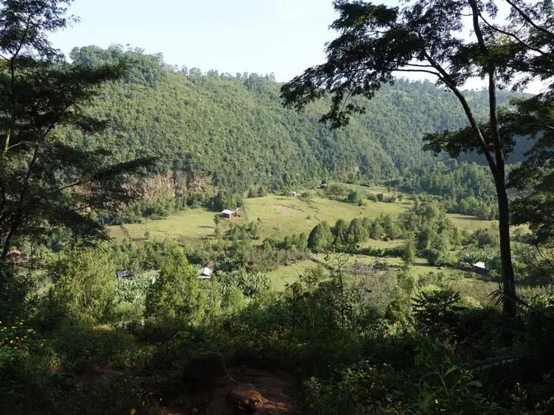 Blick auf ein grünes Tal, umgeben von bewaldeten Hügeln. In der Landschaft sind vereinzelte Häuser und Bäume zu sehen.