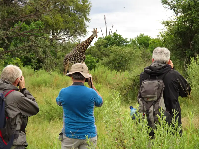 Reiseteilnehmer beobachten eine Giraffe während einer Safari.