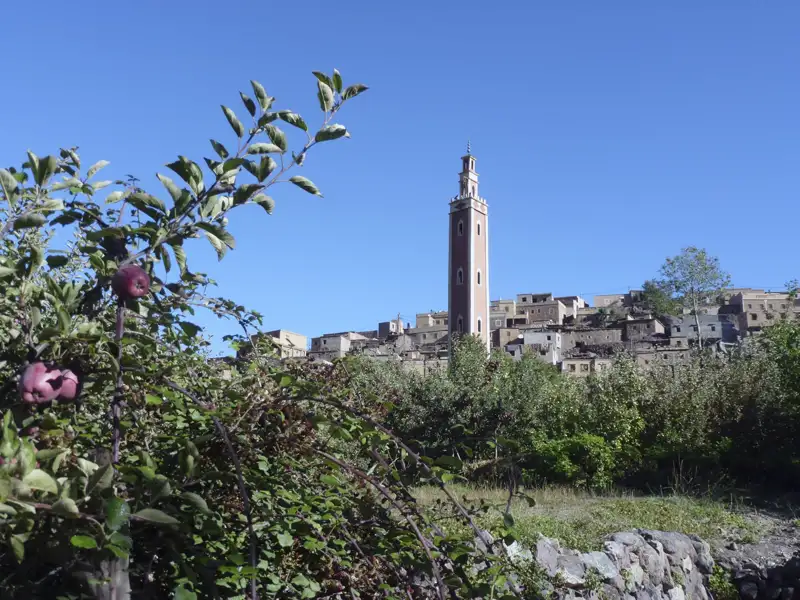 Apfelbaum im Vordergrund mit Blick auf ein Dorf und seinen Turm.