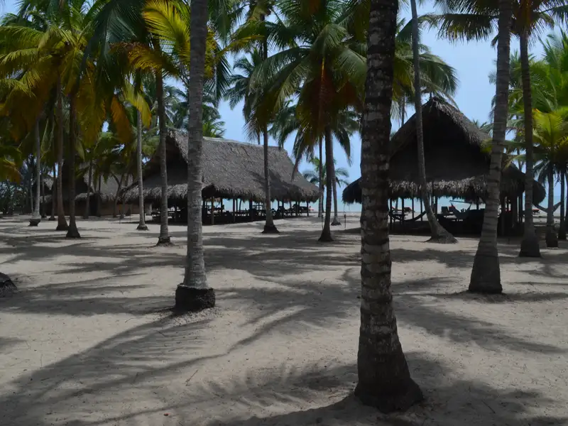 Hütten am Strand unter Palmen.