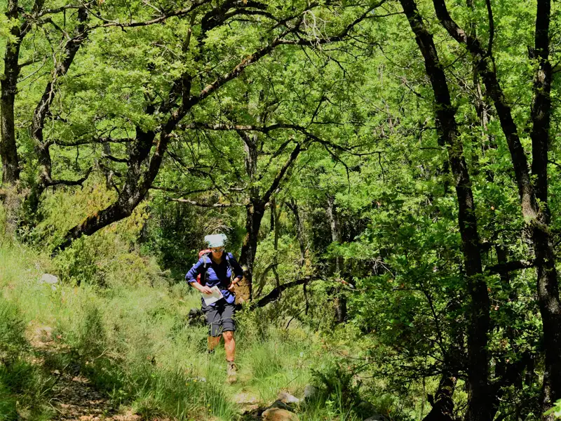 Wanderer mit Karte und Rucksack auf einem bewaldeten Wanderweg.