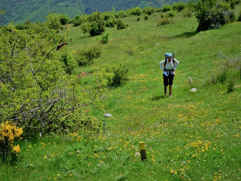 Wanderer auf einer blühenden Wiese während einer Wanderung.