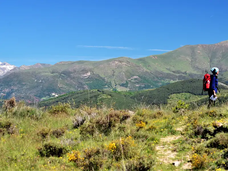 Wanderer mit Rucksack auf einem Bergpfad mit Blick auf die Berglandschaft.