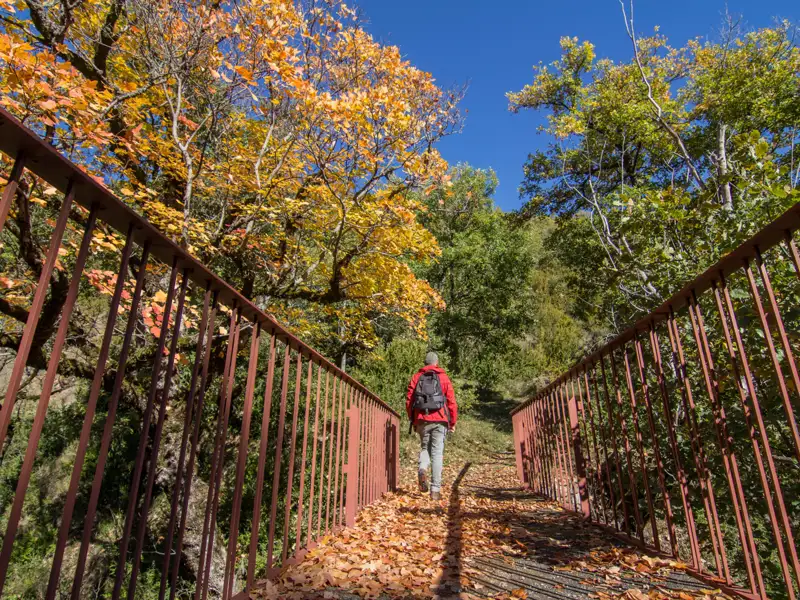 Wanderer auf einer mit Herbstlaub bedeckten Brücke.